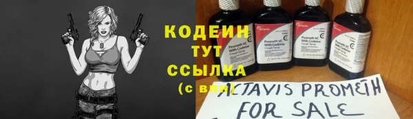 прущий лед Абаза