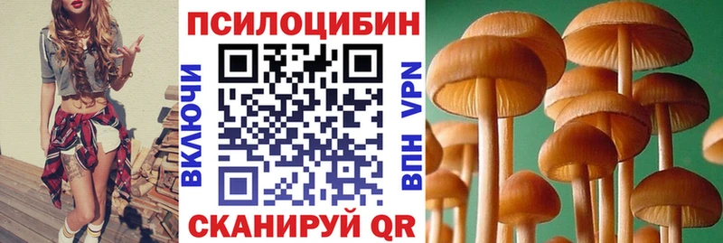 Галлюциногенные грибы Psilocybine cubensis  даркнет сайт  Старая Русса 